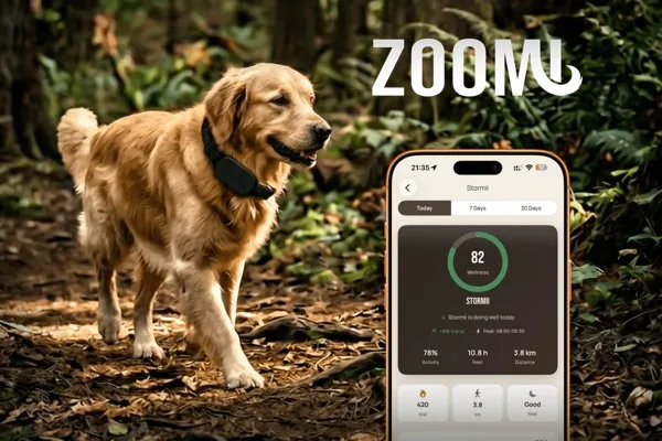 Zoomi